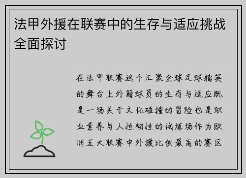法甲外援在联赛中的生存与适应挑战全面探讨
